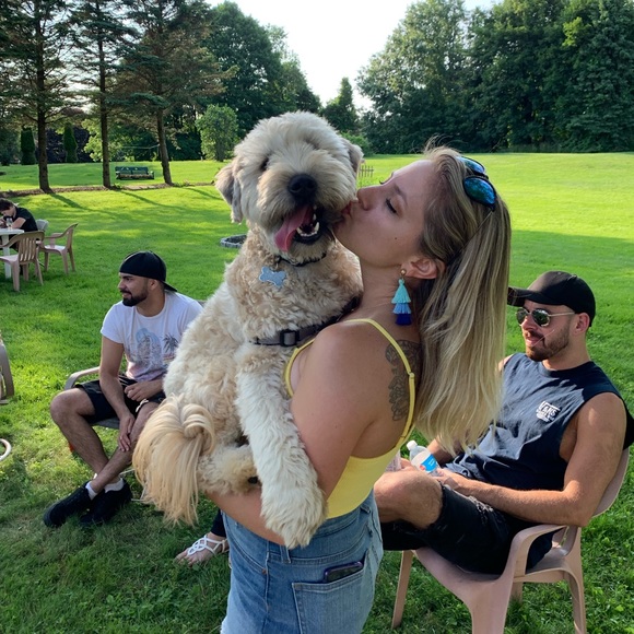 Meet your posher - Picture 1 of 1